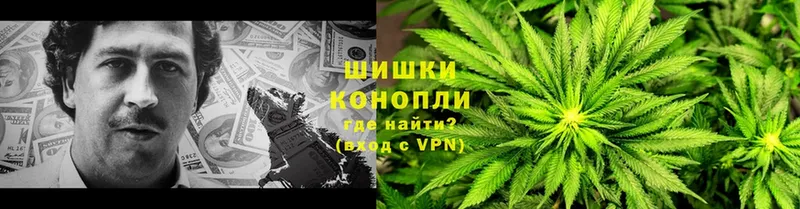 наркота  Мегион  Шишки марихуана OG Kush 